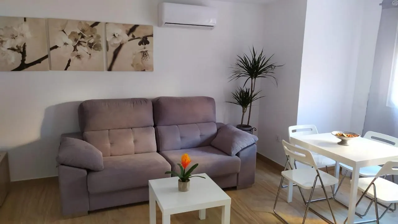 Loft 500 Metros De La Playa contacts